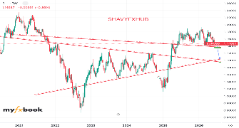 shavyfxhub's chart
