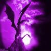 PurpleLotus PurpleLotus